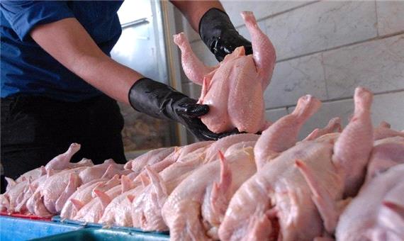 قیمت گوشت مرغ برای مصرف کننده 8 هزار و 500 تومان