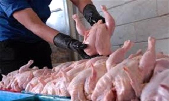 ممنوعیت صادرات مرغ تا دو ماه آینده