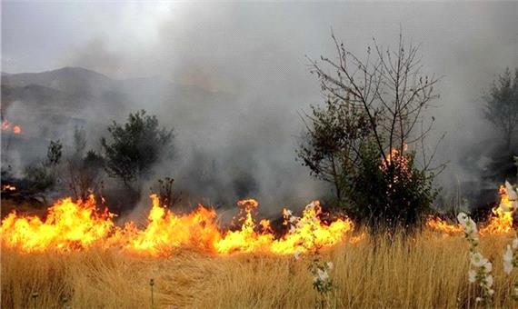 آتش‌سوزی جنگل و باغات روستای کوش‌کلجک بخش جبالبارز جنوبی
