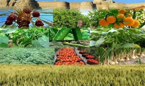 راه‌اندازی هاب بین‌المللی کشاورزی و غذا در ایران پایان سال جاری